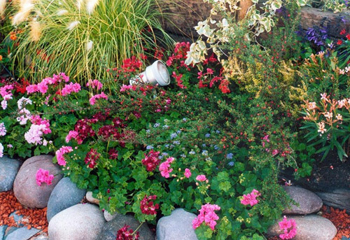 cantero con flores jardineria olivos