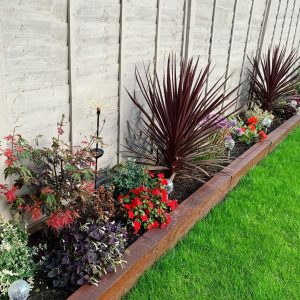 diseño de canteros con plantas de pleno sol