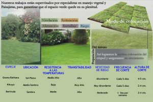 ficha tecnica tipos de cesped