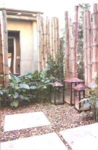 paisajismo y jardineria en patio chico